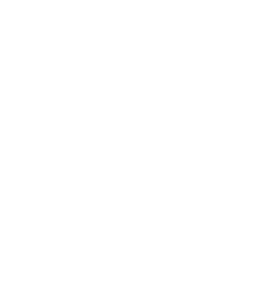 Black Friday Sale